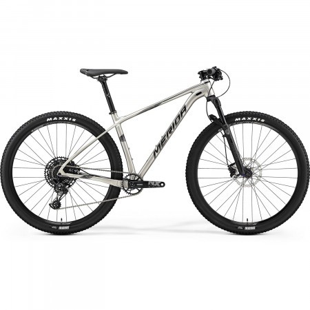 Bicicleta de munte pentru barbati Merida Big.Nine NX Edition Titan(Argintiu) 2019