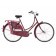 Bicicleta Gazelle Basic 