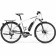 Bicicleta electrica pentru barbati Merida eSPRESSO 300 EQ Alb(Argintiu) 2019