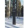 Placa Snowboard Unisex Arbor Coda Rocker 2022 7
